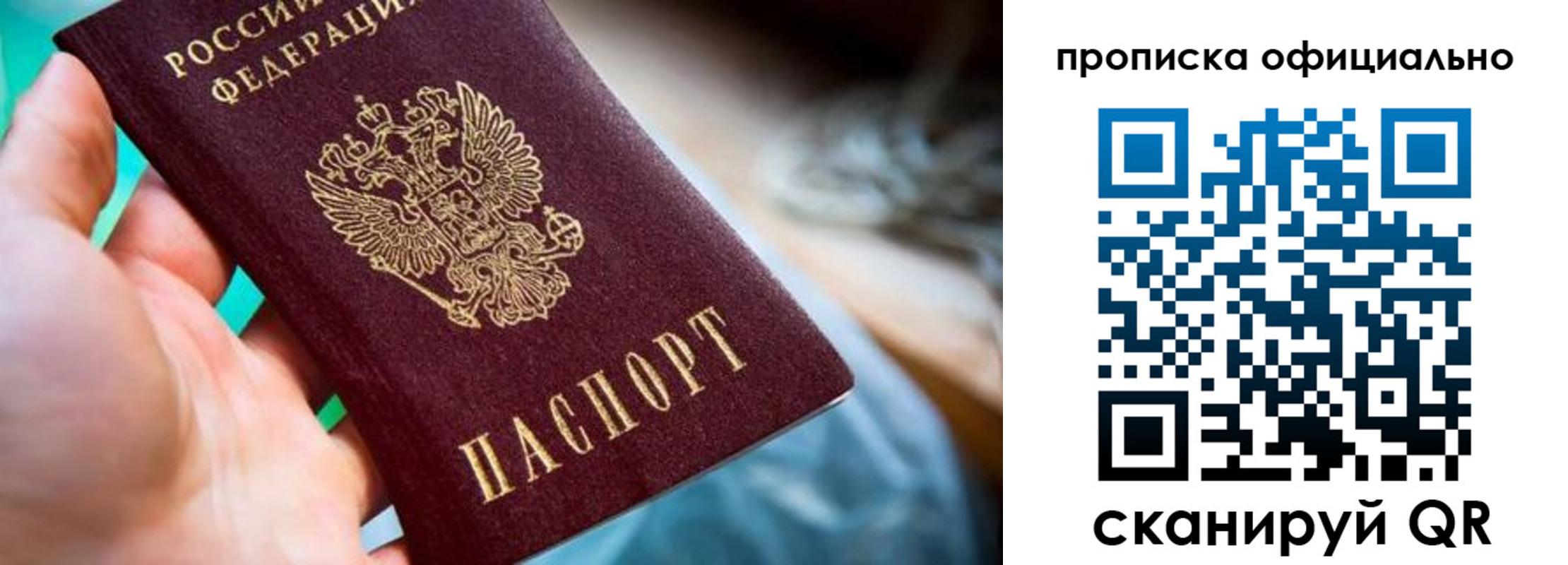 прописка поиск в Светлогорске